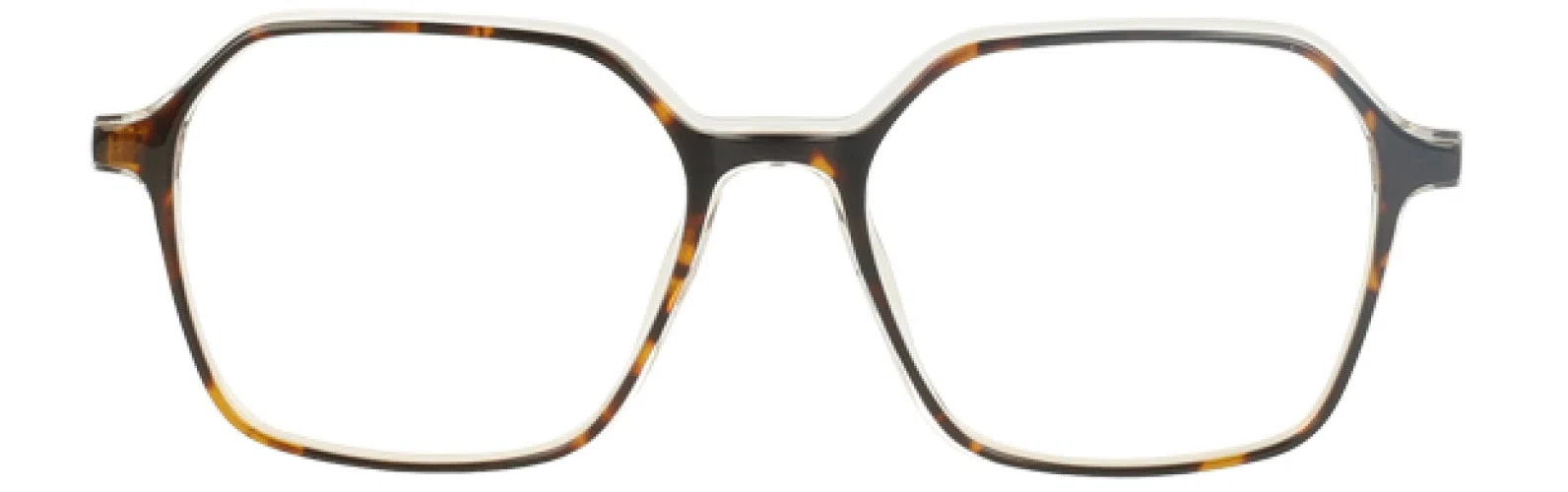 Via Spiga VSAlfonsia Eyeglasses - view 5